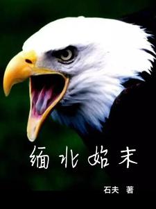 缅北事件来龙去脉简介